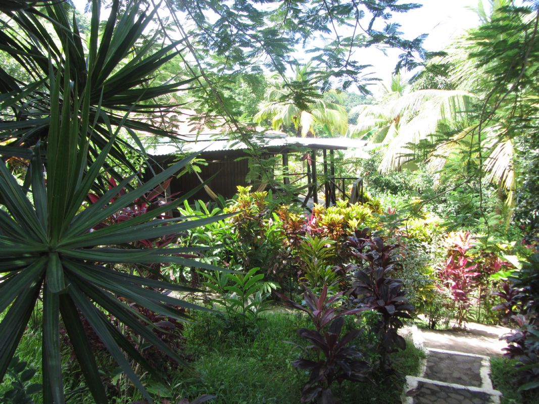 https://newex.headwater.com/holiday-hotels/?HolidayID=61&HotelID=306&HolidayName=Dominica-Caribbean+%2D+Dominica+%2D+The+Walkers+Island-&HotelName=Nights+1%2C+2+%26+3+%2D+Hibiscus+Valley+">Nights 1, 2 & 3 - Hibiscus Valley 